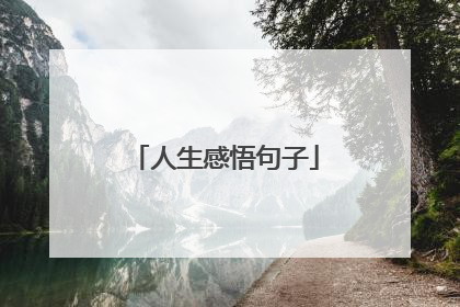 人生感悟句子
