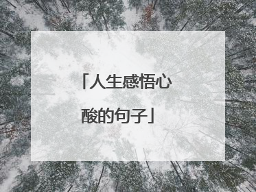 人生感悟心酸的句子