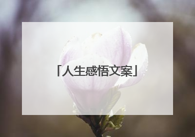 人生感悟文案