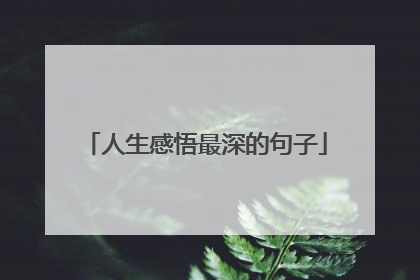 人生感悟最深的句子