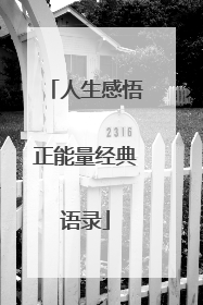 人生感悟正能量经典语录