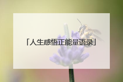 人生感悟正能量语录