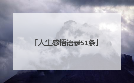 人生感悟语录51条