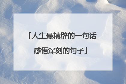 人生最精辟的一句话 感悟深刻的句子