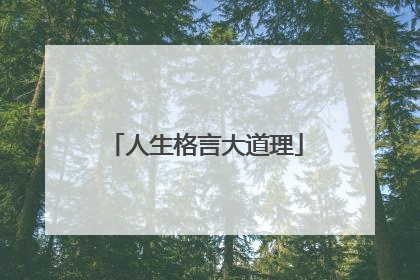 人生格言大道理