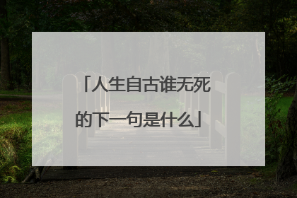 人生自古谁无死的下一句是什么