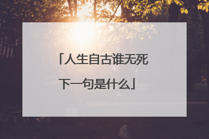 人生自古谁无死下一句是什么