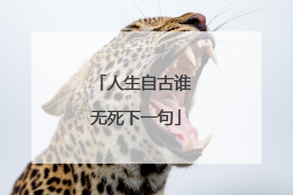 人生自古谁无死下一句