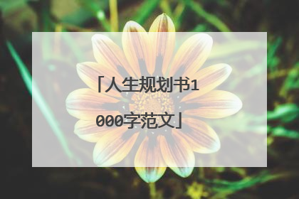 人生规划书1000字范文