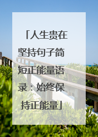 人生贵在坚持句子简短正能量语录:始终保持正能量