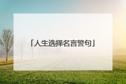 人生选择名言警句