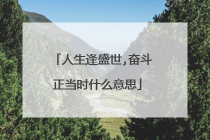 人生逢盛世,奋斗正当时什么意思