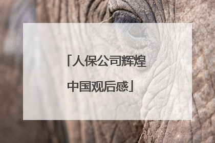 人保公司辉煌中国观后感