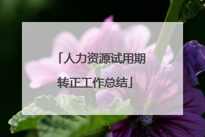 人力资源试用期转正工作总结