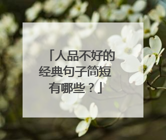 人品不好的经典句子简短有哪些？