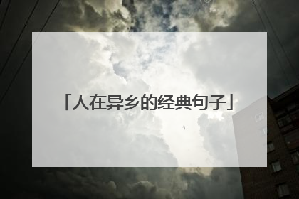 人在异乡的经典句子