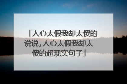 人心太假我却太傻的说说,人心太假我却太傻的超现实句子