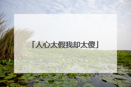 人心太假我却太傻