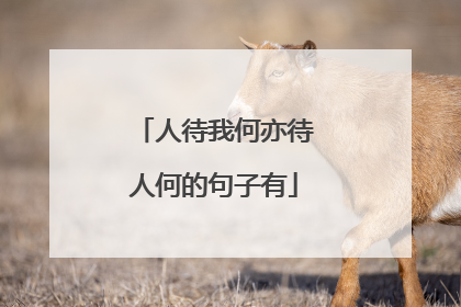 人待我何亦待人何的句子有