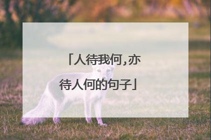 人待我何,亦待人何的句子