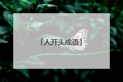 人开头成语