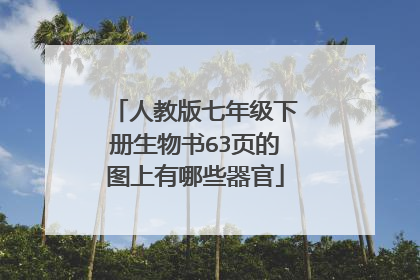 人教版七年级下册生物书63页的图上有哪些器官