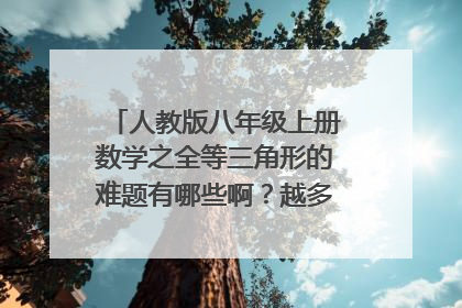 人教版八年级上册数学之全等三角形的难题有哪些啊？越多越好！！！