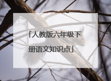 人教版六年级下册语文知识点