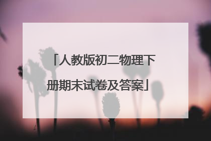 人教版初二物理下册期末试卷及答案