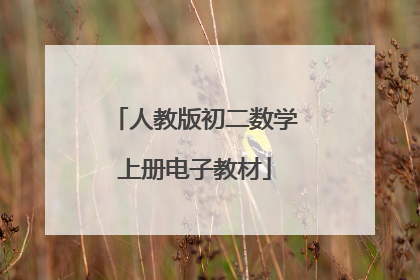 人教版初二数学上册电子教材