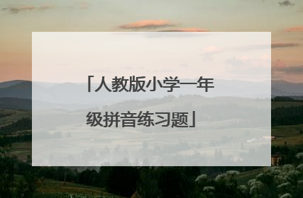 人教版小学一年级拼音练习题