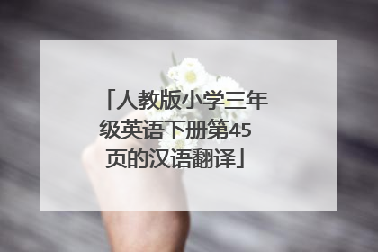 人教版小学三年级英语下册第45页的汉语翻译