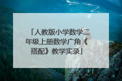 人教版小学数学二年级上册数学广角《搭配》教学实录