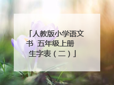 人教版小学语文书 五年级上册 生字表（二）