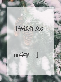 争论作文600字初一