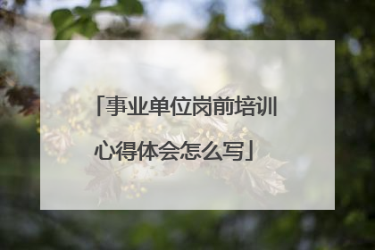 事业单位岗前培训心得体会怎么写