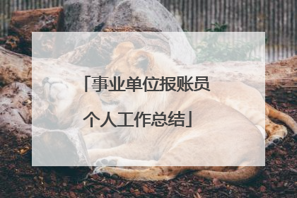 事业单位报账员个人工作总结