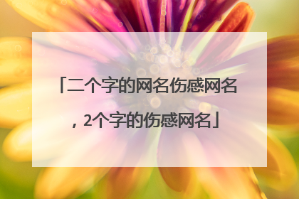 二个字的网名伤感网名，2个字的伤感网名