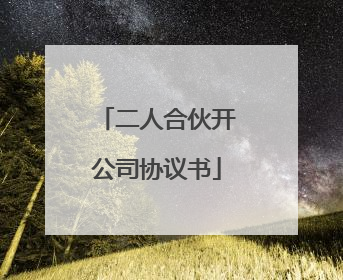 二人合伙开公司协议书