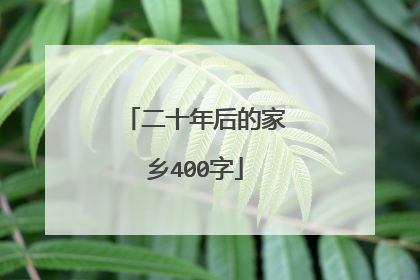 二十年后的家乡400字