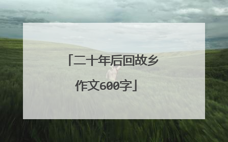二十年后回故乡作文600字