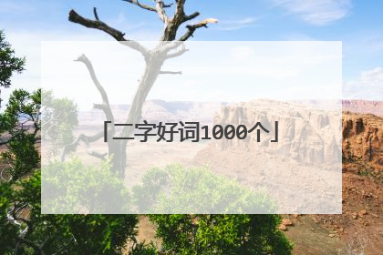 二字好词1000个