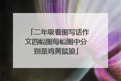二年级看图写话作文四幅图每幅图中分别是鸡黄鼠狼