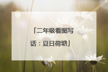 二年级看图写话：夏日荷塘