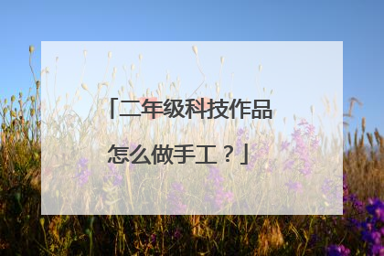 二年级科技作品怎么做手工？