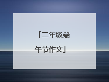 二年级端午节作文