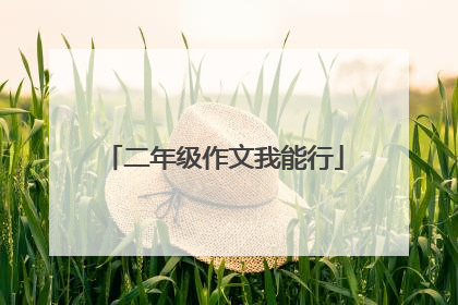 二年级作文我能行