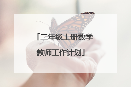 二年级上册数学教师工作计划