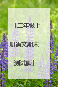 二年级上册语文期末测试题