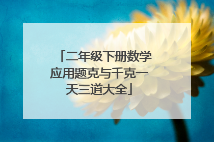 二年级下册数学应用题克与千克一天三道大全